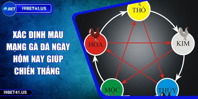 Xác Định Màu Mạng Gà Đá Ngày Hôm Nay Giúp Chiến Thắng 1 Xác Định Màu Mạng Gà Đá Ngày Hôm Nay Giúp Chiến Thắng