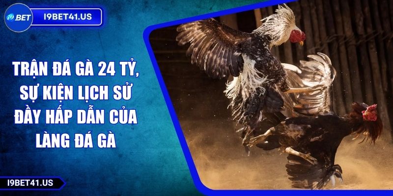 Trận Đá Gà 24 Tỷ, Sự Kiện Lịch Sử Đầy Hấp Dẫn Của Làng Đá Gà 1 Trận Đá Gà 24 Tỷ, Sự Kiện Lịch Sử Đầy Hấp Dẫn Của Làng Đá Gà